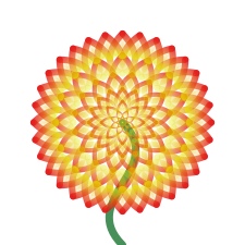 Balldahlie "Gummibärchen"